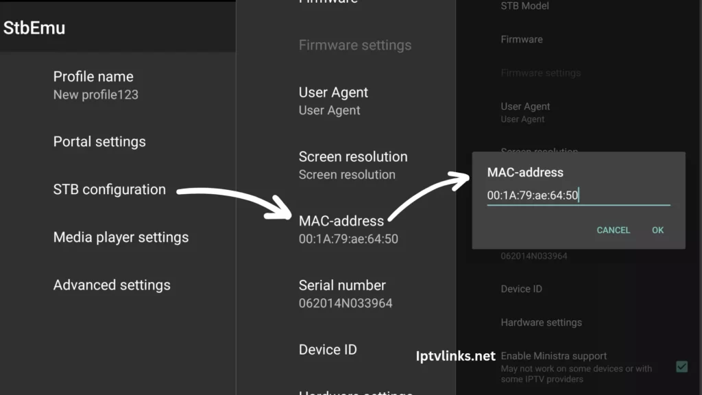 How to set up STB Emu